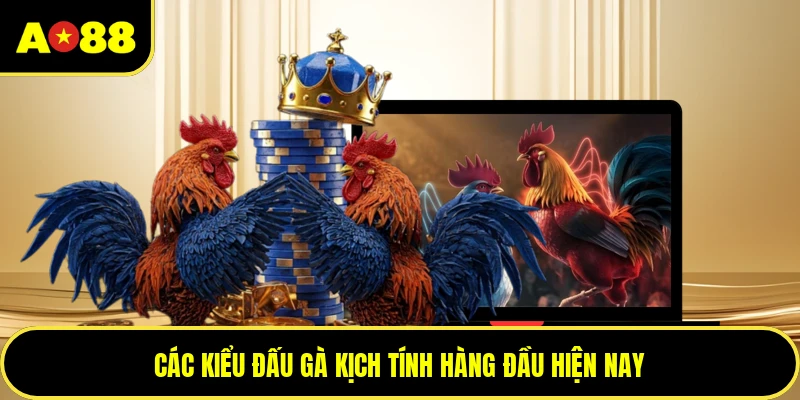 Các kiểu đấu gà kịch tính hàng đầu hiện nay