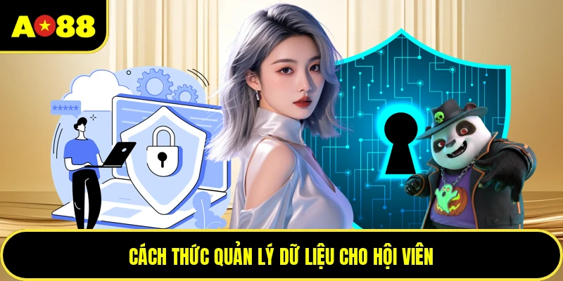 Cách thức quản lý dữ liệu cho hội viên