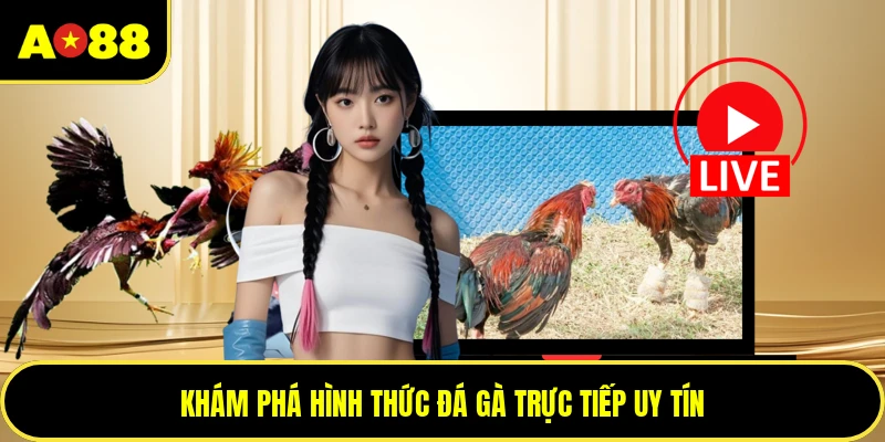 Khám phá hình thức đá gà trực tiếp uy tín