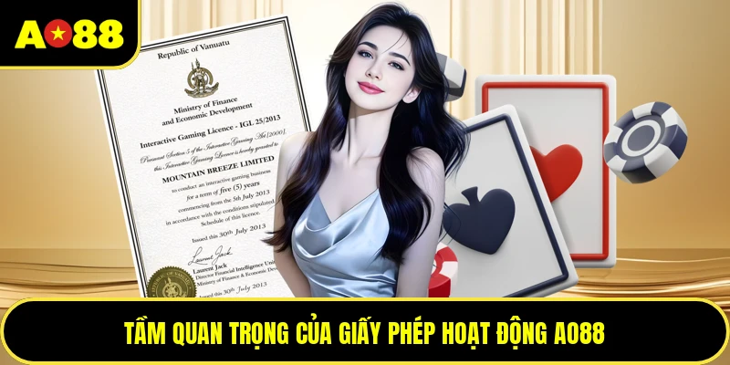 Tầm quan trọng của giấy phép hoạt động AO88