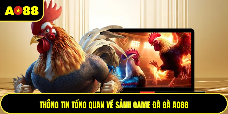 Thông tin tổng quan về sảnh game đá gà AO88